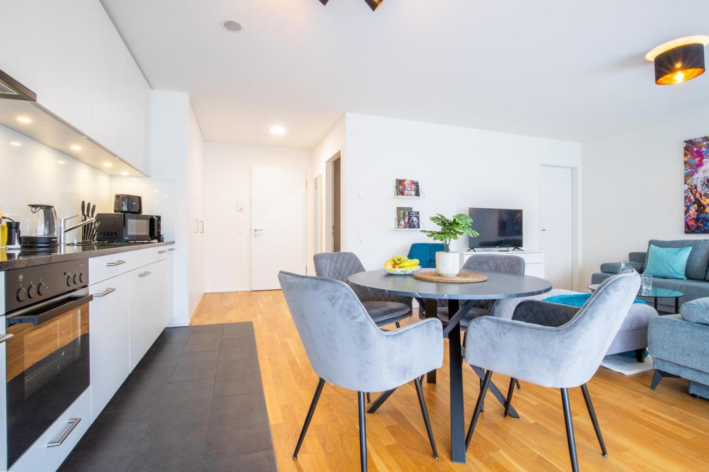 Special Einstein Iiv Apartment, Messe Kleinbasel 10-Star المظهر الخارجي الصورة